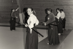 tRAVAIL AU iai